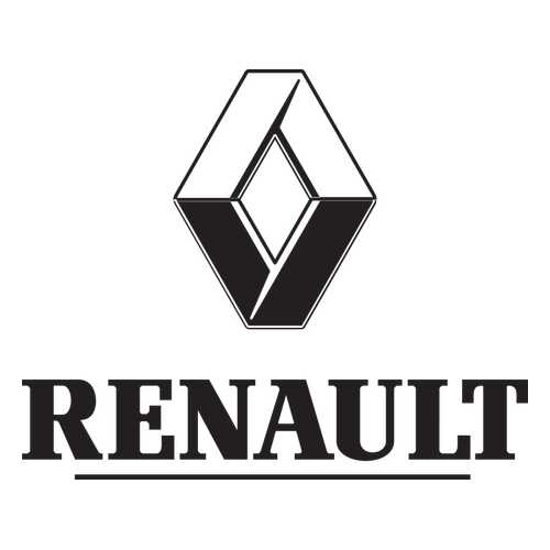 Боковое зеркало заднего вида RENAULT 963019589R в Колеса даром